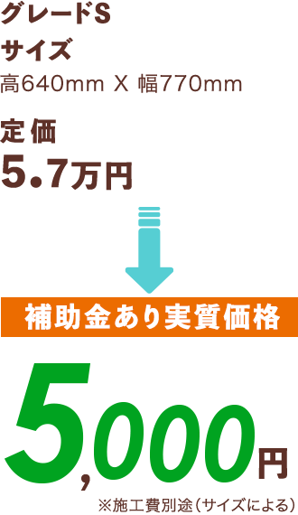 [補助金あり実質価格]5,000円